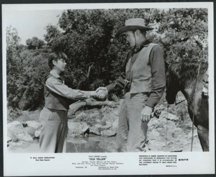 Remembering The Rifleman Small Screen Westerns Don't Come Much Better